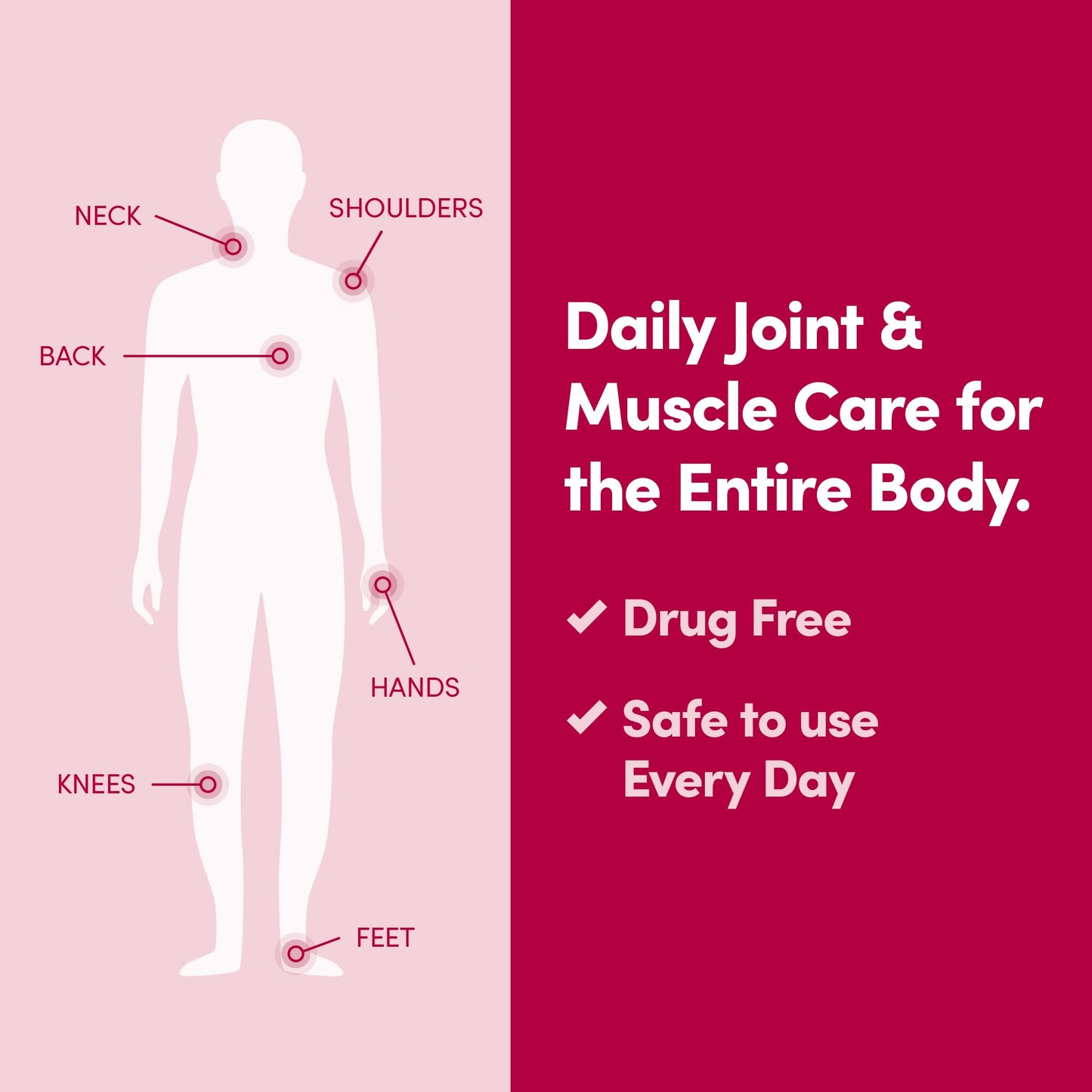 Penetrex Joint & Muscle Therapy - Soothing Muscle Rub for Back, Neck, Hands, Feet - Premium Whole Body Rub with Arnica, Vitamin B6 MSM & Boswellia - Non-Greasy 2oz Cream