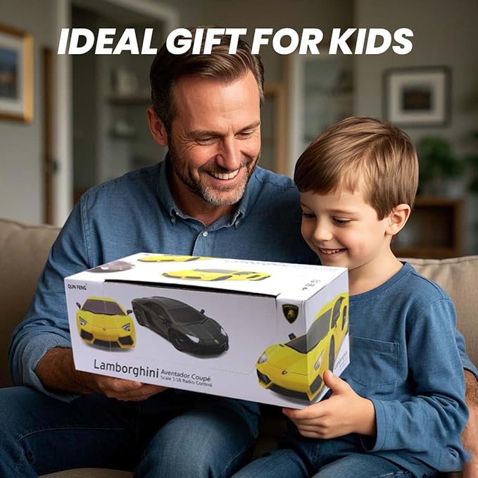 QUN FENG Official Licensed Lamo LP-700 1:18 Scale Remote Control Car for Kids 8-12 Years RC Car with Rechargeable Battery 3.7V 500mAh 2.4GHz Matte Black