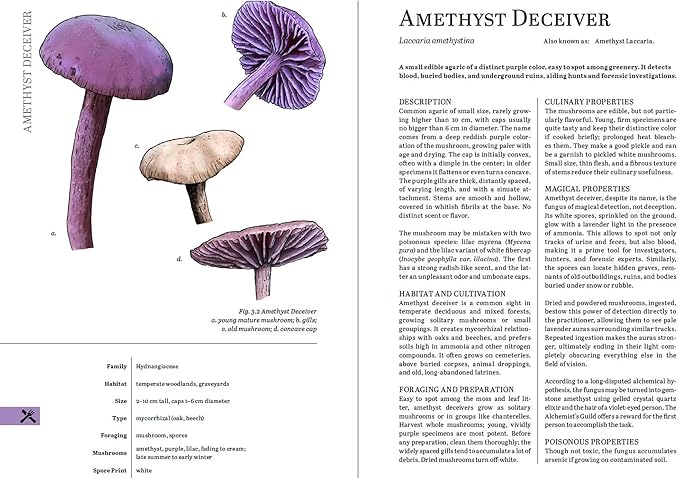 Renegade Game Studios Herbalist's Primer: System-Agnostic Illustrated RPG Plant Guide & Magical Herbs Reference