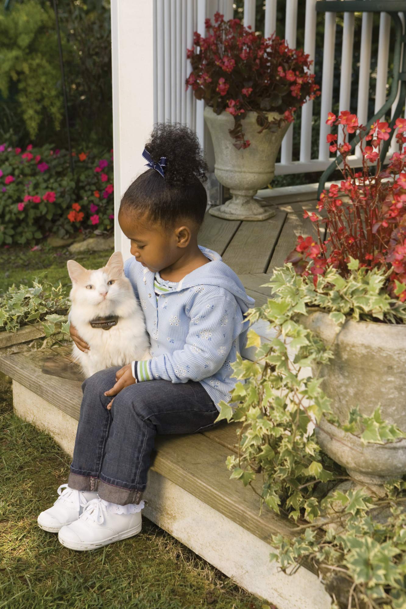 PetSafe In-Ground Cat Fence Receiver Collar, Waterproof, Tone and Static Correction, Stretch-Section for Safety, for Cats Over 6 lb - from The Parent Company of Invisible Fence Brand