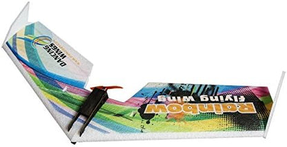 31 Delta Wing EPP Plane Model Rainbow Fly Wing 800mm Wingspan KIT Tail-Pusher Version E0511