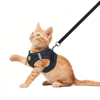 FEimaX Dog Harness and Leash Set, No Pull Breathable Soft Mesh Puppy Vest Harness Reflective Adjustable Pet Harnesses for Small Medium Dogs and Cats - Outdoor Easy Control for Walking