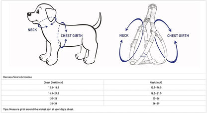 Blueberry Pet Essentials Step-in Reflective Back to Basics Dog Harness, French Pink, Chest Girth 16.5" - 21.5", Small, Adjustable Harnesses for Dogs