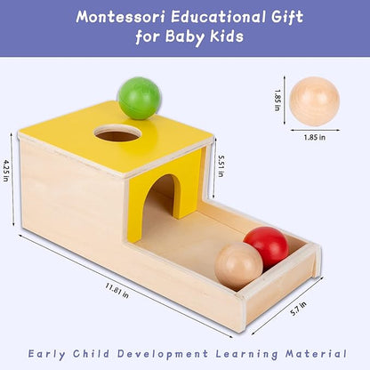 Adena Montessori 4 in 1 Wooden Play Kit Baby ToysObject Permanence BoxMatchstick Color Drop GameCarrot Harvest and Coin BoxBall Drop Toy for Kid 123 Year OldGirl Boy Gift for Baby 6-12 Month