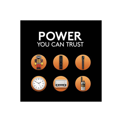 DURACELL CopperTop Alkaline Batteries with Duralock Power Preserve Technology D 12/Box (MN1300)