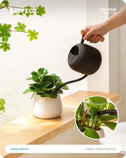 Baffect Cute Indoor/Outdoor Watering Can, 1.2L/41OZ Stainless Steel with Long Spout for House Plants, Bonsai, Flowers & Decor