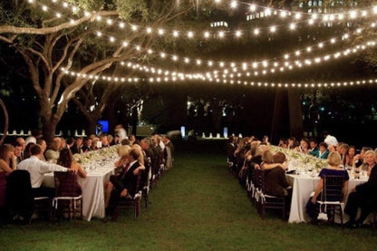 Feit Electric 48' LED Filament String Light Set