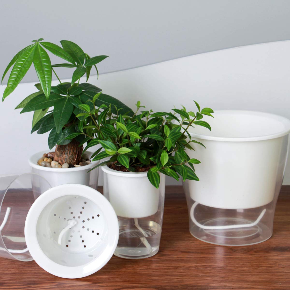 5-Pack 4.3 Inches Clear Self-Watering Planters Small African Violet Pots Plastic Plant Pots Wicking Flower Pots for Indoor Plants, Herbs, African Violet, Ocean Spider Plant, Orchid Pot, Garden Pots