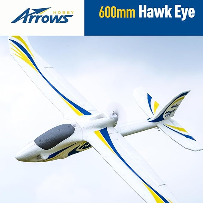 FAIR RC Arrows RC Plane 600mm Hawk Eyes Remote Control Airplane Easy to Fly Ready to Fly RTF(Include Battery Charger Radio)