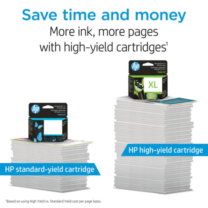 HP 65 Black Ink Cartridge for HP Printers | Works with Printer Series: AMP 100, DeskJet 2600, 3700; ENVY 5000 | Eligible for Instant Ink | N9K02AN
