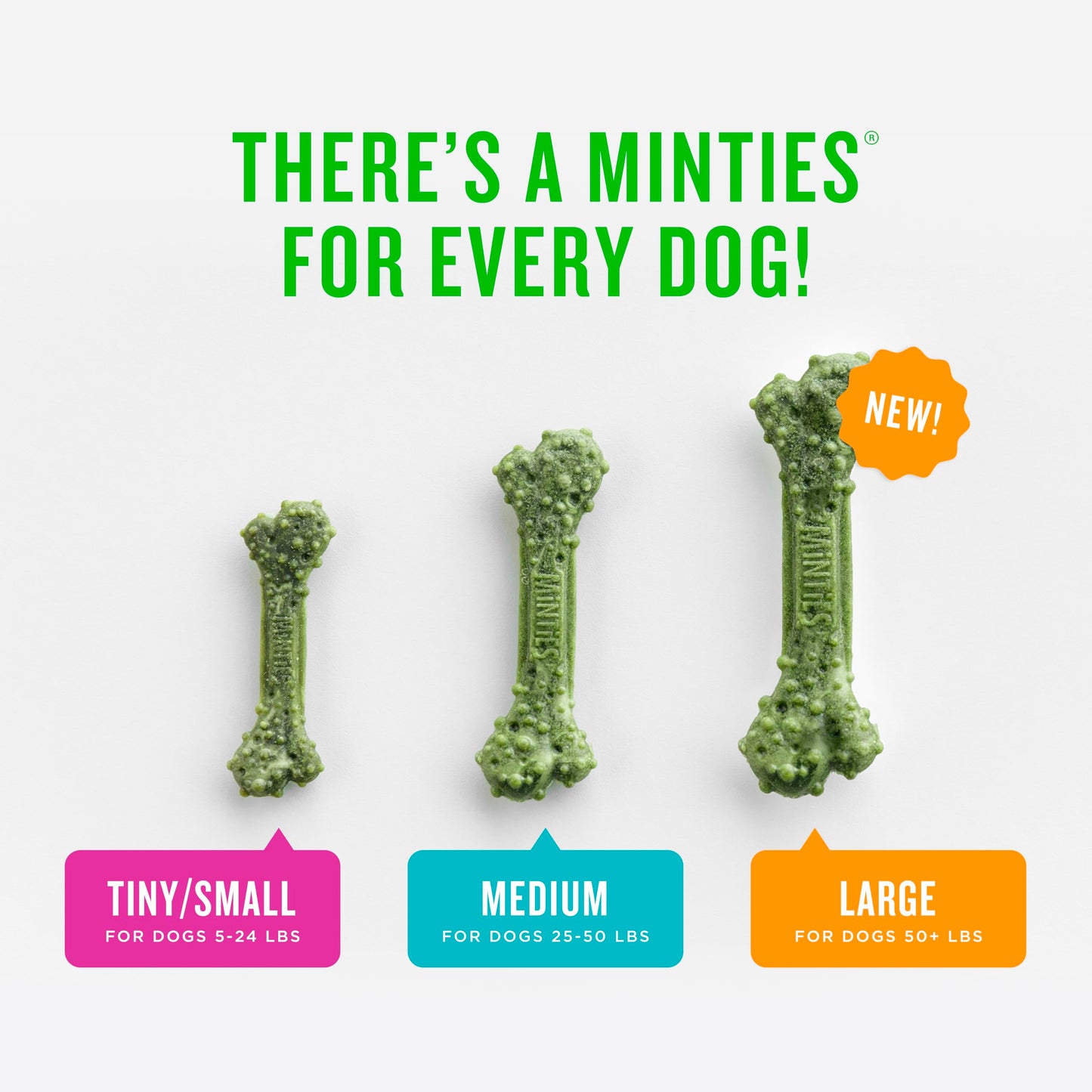 Minties Dental Chews for Dogs, 40 Count, Vet-Recommended Mint-Flavored Treats for Tiny/Small Dogs 5-24 lbs, Dental Bones Clean Teeth, Fight Bad Breath, and Removes Plaque and Tartar