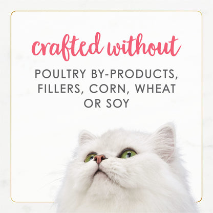 Purina Fancy Feast Grain Free Pate Wet Kitten Food Gourmet Naturals Wild Alaskan Salmon Recipe - (Pack of 12) 3 oz. Cans