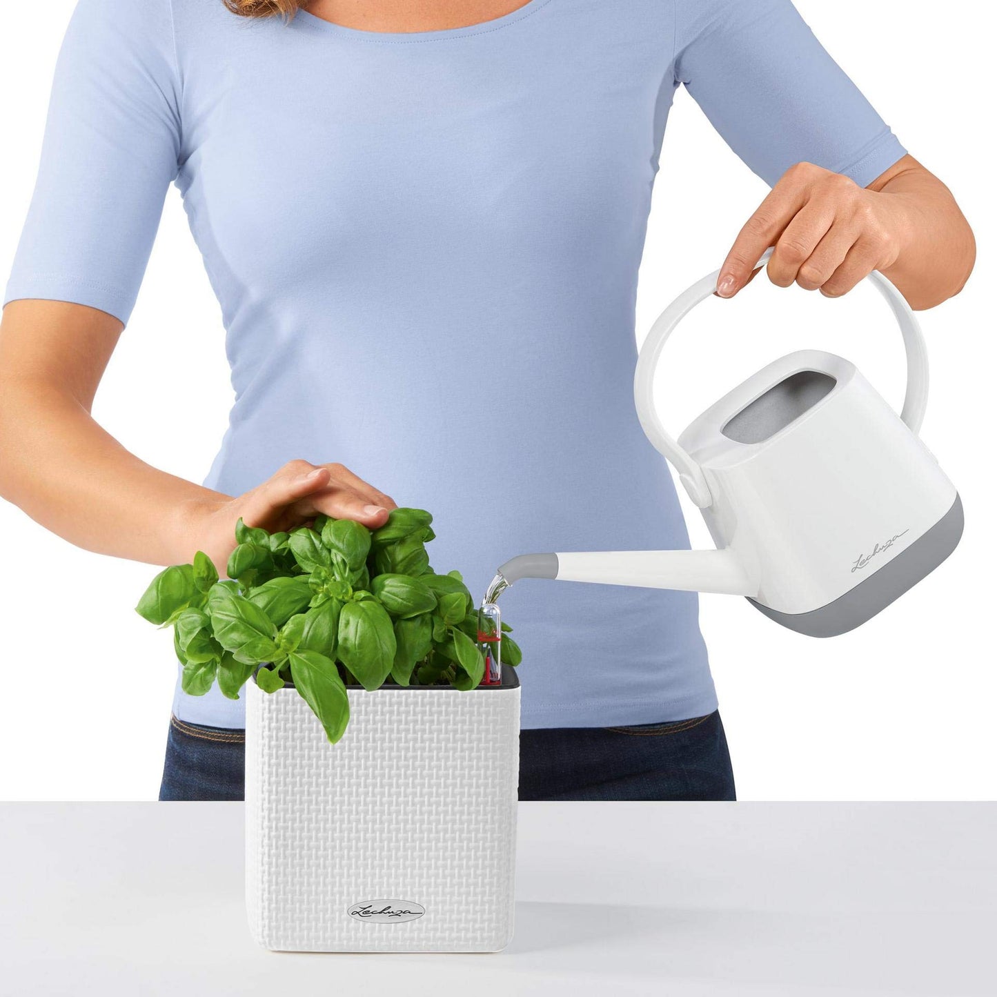 Lechuza Cube Color 16 Self Watering Plant Pot, White, 17 cm Diameterx 17 cm Width x 16 cm Height