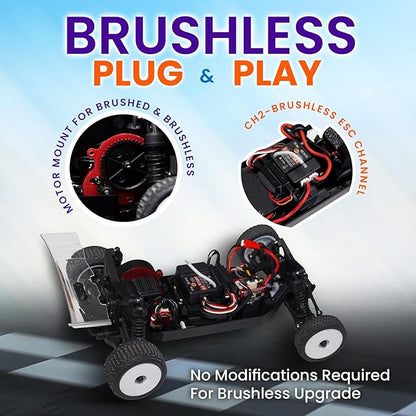 HOBBYPLUS Combo Speck B 1/24 2WD Buggy Mini RC Car w RADIANZ Hobby Plus Speck-B Nexo Airbrush Lexan Body - RTR RC Buggy Fast Mini Racing Buggy