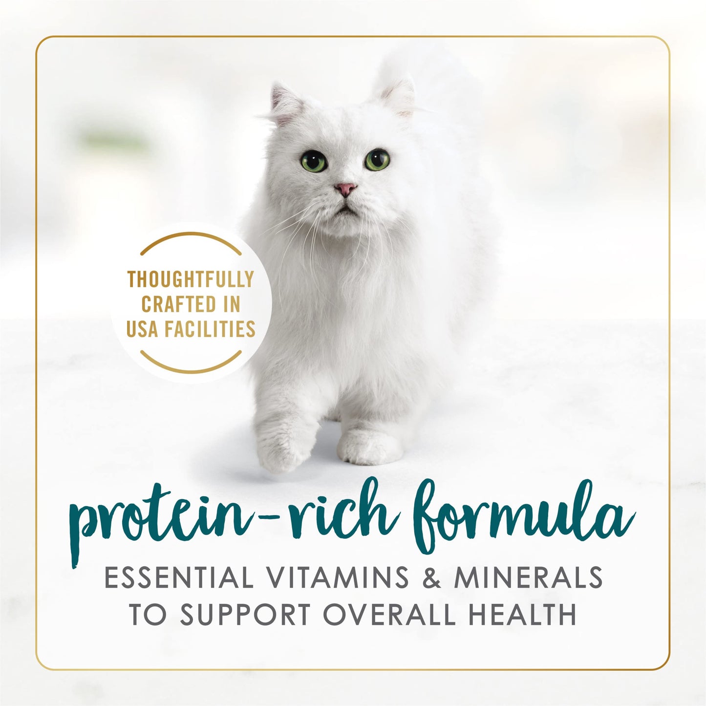 Purina Fancy Feast Grilled Wet Cat Food Turkey Feast in Wet Cat Food Gravy - (Pack of 24) 3 oz. Cans