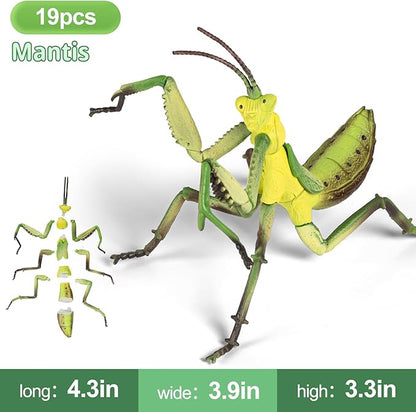 7Pcs Lifelike 3D Puzzles for Kids1:1 Replica Insect Building Toys for 5 6 7 8+ Year Old Boys GirlsSlot-Assembly Building BlocksBug Realistic Figures SetEducational Toys Ideal for ClassParty