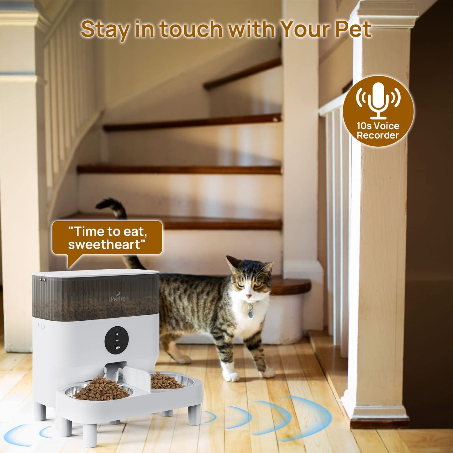 iPettie Automatic WiFi Pet Feeder for 2 Pets, 5L/21 Cup Capacity, 1-10 Meals Per Day, Adjustable Bowl Height, Smart Dog Cat Feeder with 2 Stainless Steel Bowls, Voice Recording, 2.4G WiFi App Control