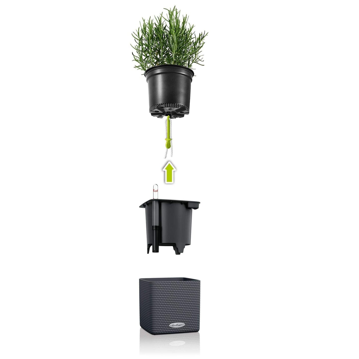 Lechuza Cube Color 16 Self Watering Plant Pot, White, 17 cm Diameterx 17 cm Width x 16 cm Height