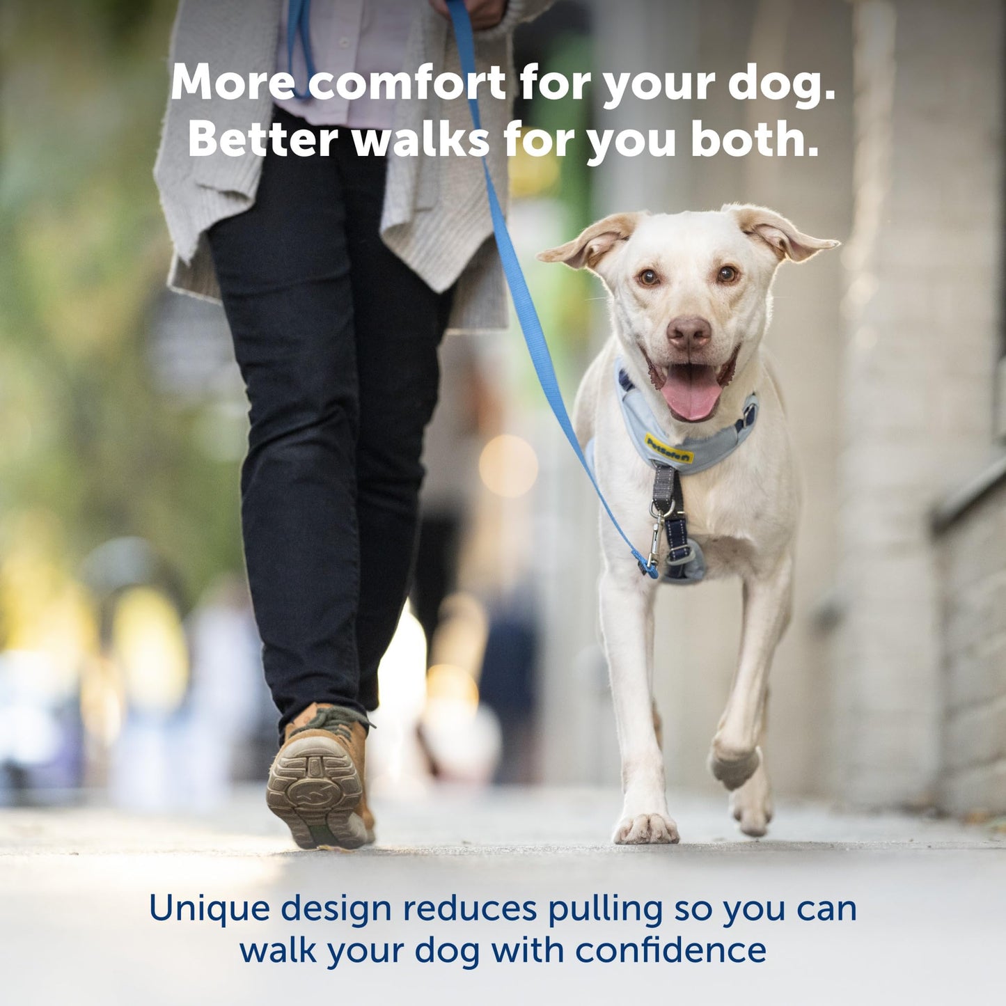 PetSafe Easy Walk Comfort No-Pull Dog Harness Full-Body Padding - Better Walks on The First Use - 5 Points of Adjustment Large, Green