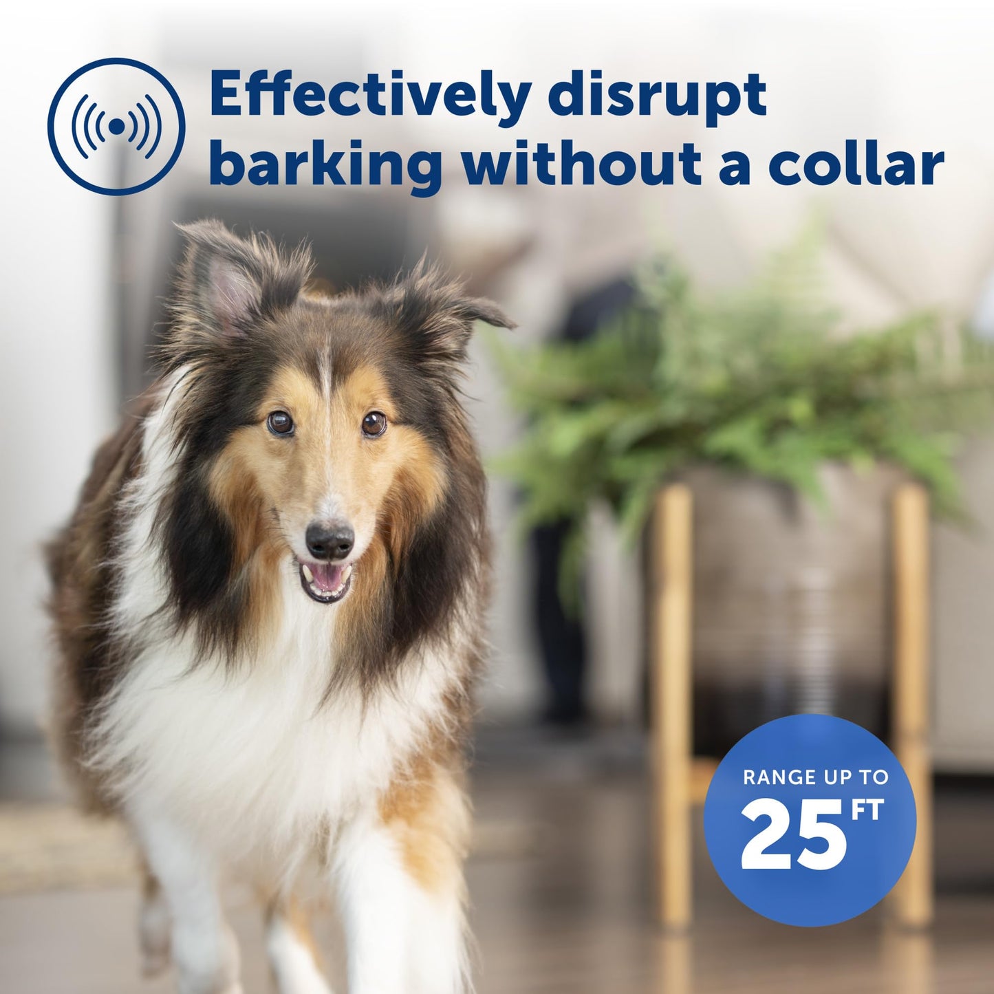PetSafe Indoor Ultrasonic Dog Bark Control - No Collar Needed - Up to 25 ft Range - Anti-Bark Pet Training System - Automatic with Manual Trainer Button