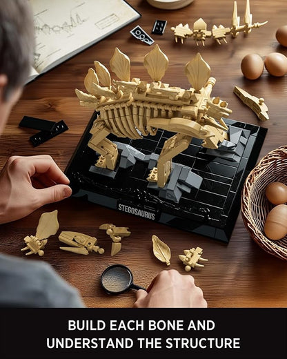 Nifeliz Stegosaurus Fossils Model Set Dinosaur Skeleton Building Set with Display Base for Adults Ideal Gift for Enthusiasts and Collectors (665 PCS NF10353)