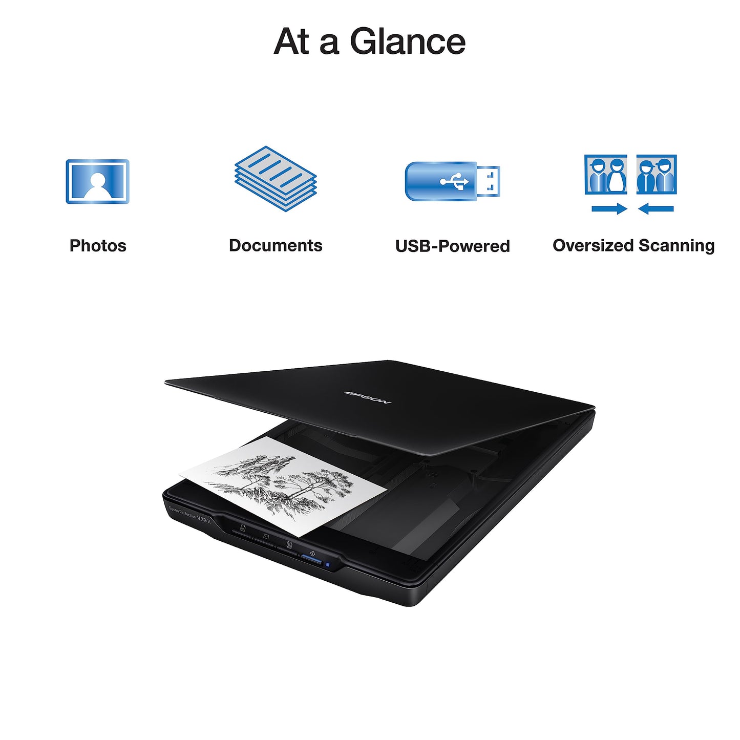Epson - Perfection V39 II - Color Photo and Document Flatbed Scanner - 4800 dpi Optical Resolution - High-Rise, Removable Lid - Scan to Cloud - USB Power - Image Scanning - Black
