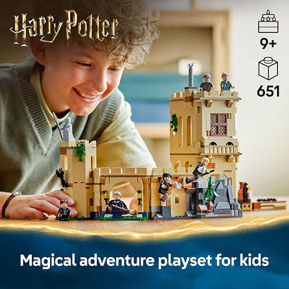 LEGO Harry Potter Hogwarts Castle: Flying Lessons Building Toy - Kids Wizard Toy for Boys and Girls Harry Potter Fans Ages 9+ - Gift Idea for Birthdays - 76447