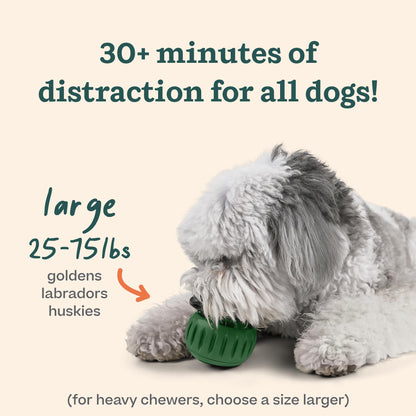 WOOF Starter Pack - Interactive Dog Toys for Boredom - Dog Treat Molds Silicone - Chicken-Flavored Healthy Treats for Dogs - Pupsicle Doggy Enrichment Toy - for Large Pups - 25-75 lbs