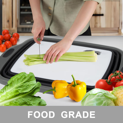 Tiawudi Large Collapsible BBQ Prep Tub with Lid(4.22 Gal/16L), Foldable Camping Sink with Colander, Cutting Board, Dish Basin for Kitchen, Bowl, Vegetable and Fruit, Storage Basket for Picnic