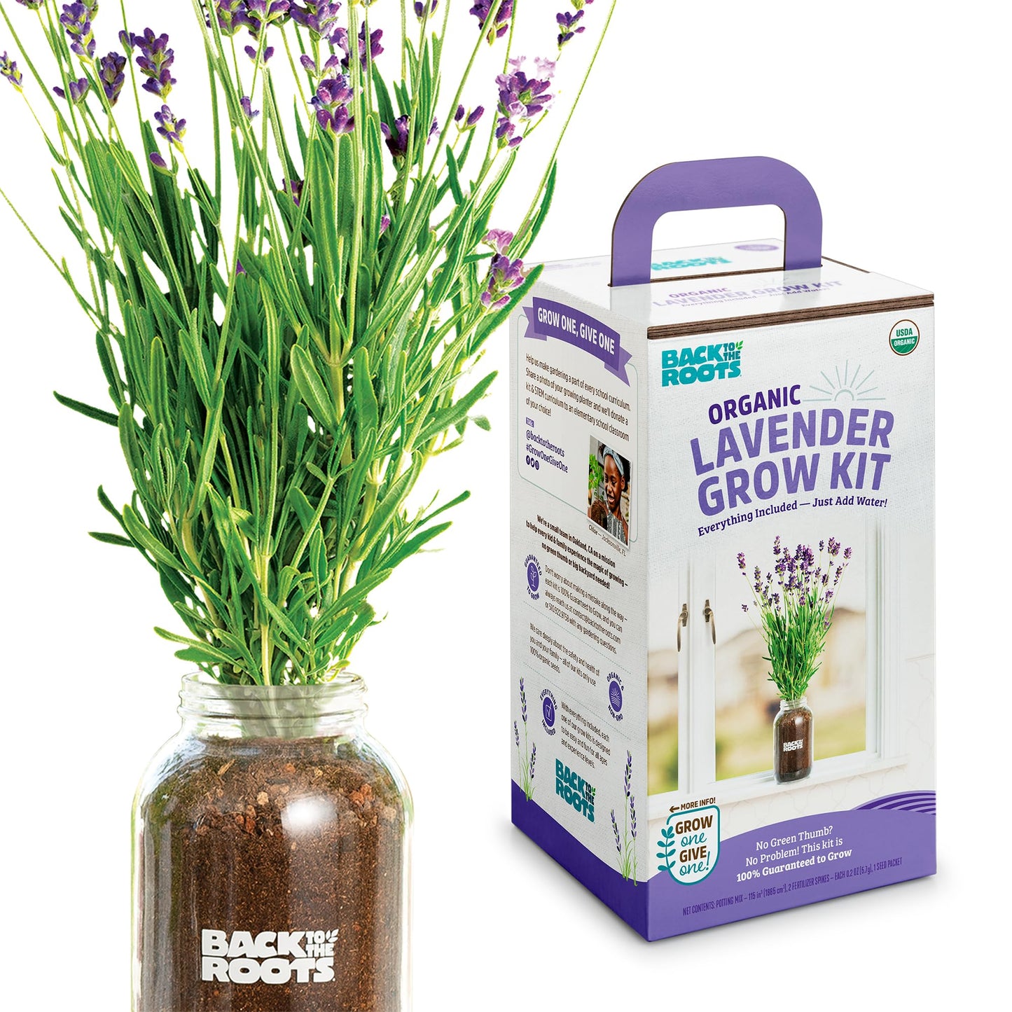 Back to the Roots Windowsill Planter: Lavender