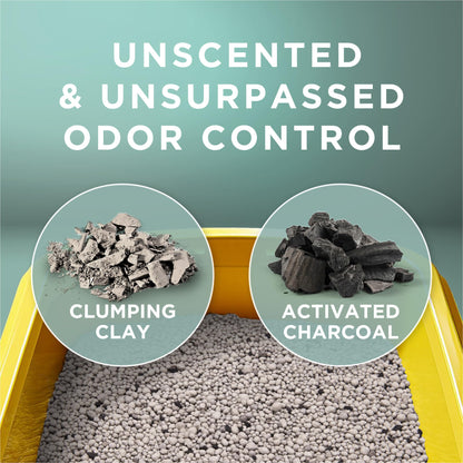 Purina Tidy Cats Clumping Cat Litter Odor Control, Free and Clean Unscented Multi Cat Litter - 16 lb. Bag