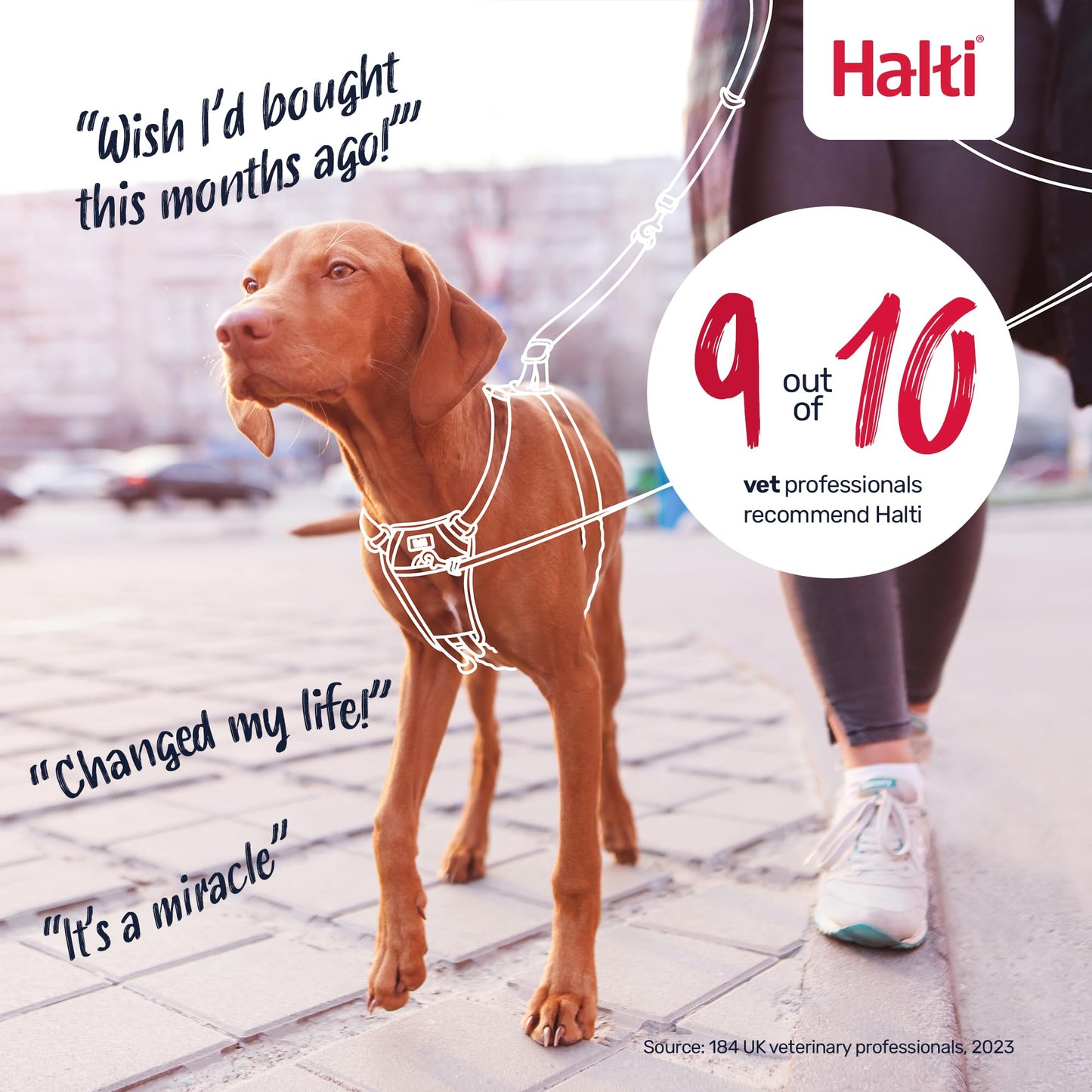 HALTI No Pull Harness - to Stop Your Dog Pulling on The Leash. Adjustable, Lightweight and Easy to Use. Reflective Dog Training Harness for Large Dogs (Size L, Forest Green)