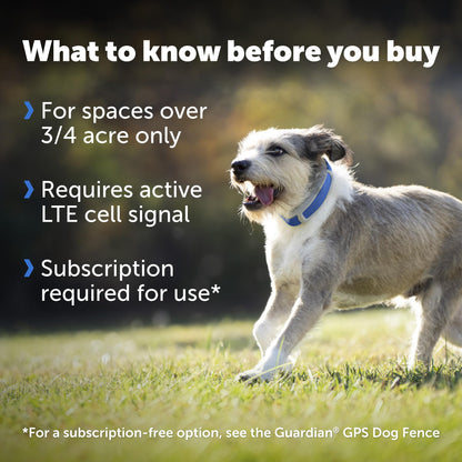PetSafe Guardian GPS + Tracking Dog Fence Collar Pet Safe GPS Dog Collar Fence System, with App Waterproof Rechargeable Collar, Tracking for Dogs (Blue, Grey)