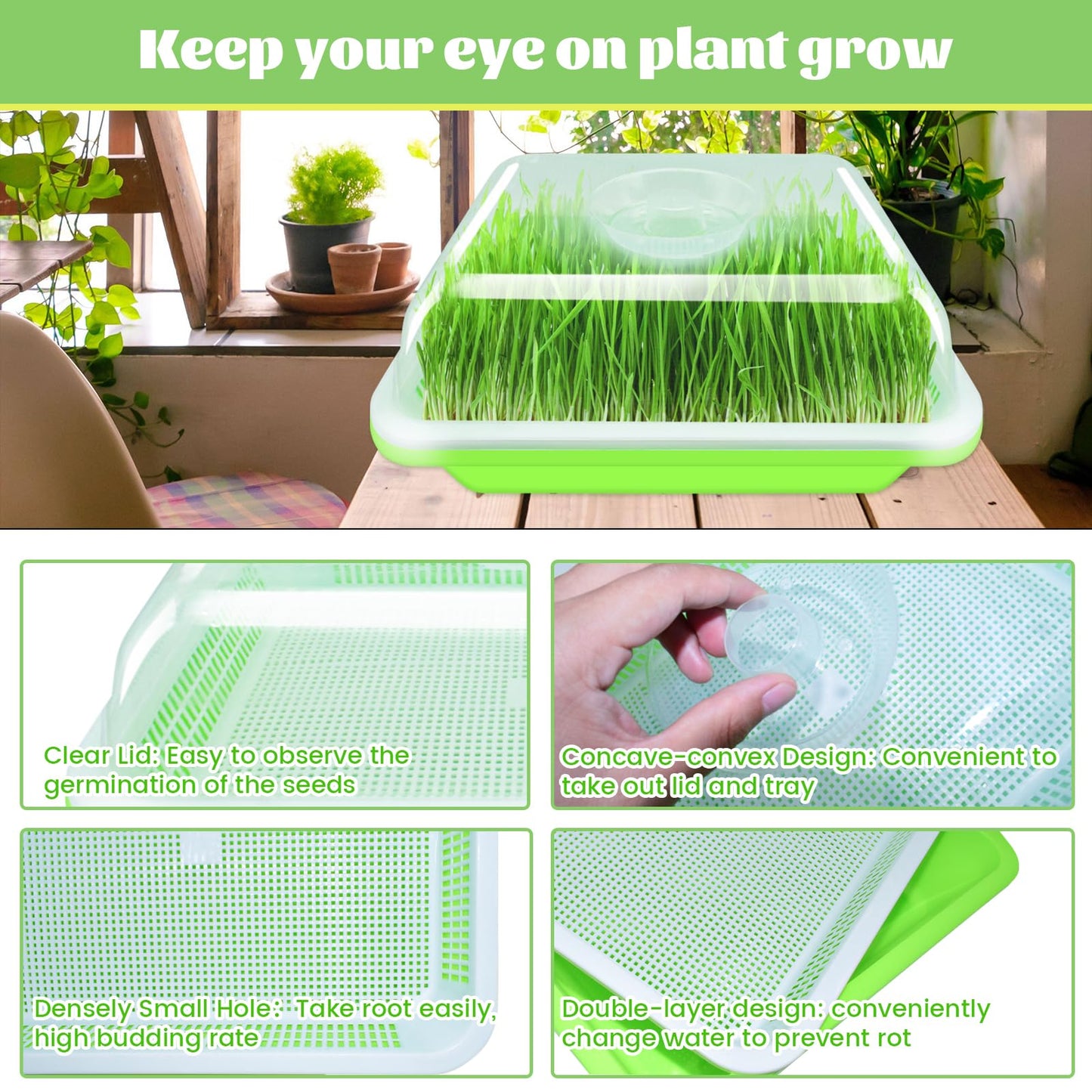 Legigo 5 Pack Seed Sprouter Trays with Lids- Soil-Free Cultivation Germination Tray, BPA Free Micro Greens Growing Trays Seed Sprouting Trays Kit with Germinating Paper for Wheatgrass, Beans and More