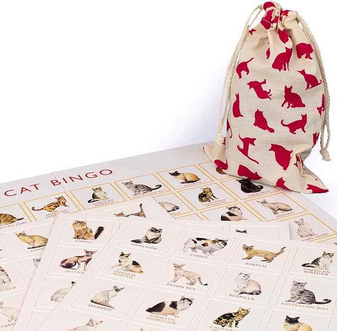 Laurence King Cat Bingo