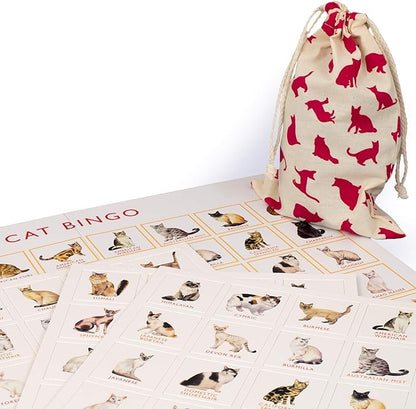 Laurence King Cat Bingo