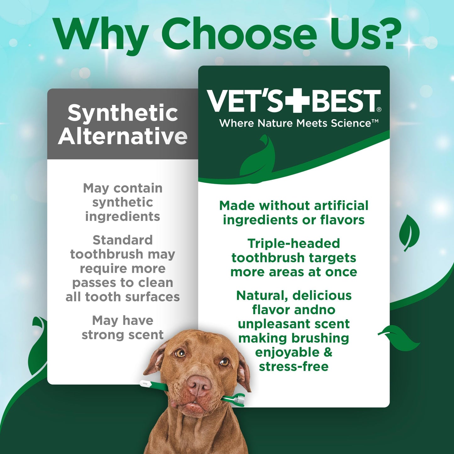 Vet's Best Dog Toothpaste & Dog Toothbrush, Dental Kit, Plaque Remover for Teeth, Whitens Teeth, Freshens Canine Breath, Veterinarian Formula, Finger Toothbrush Included