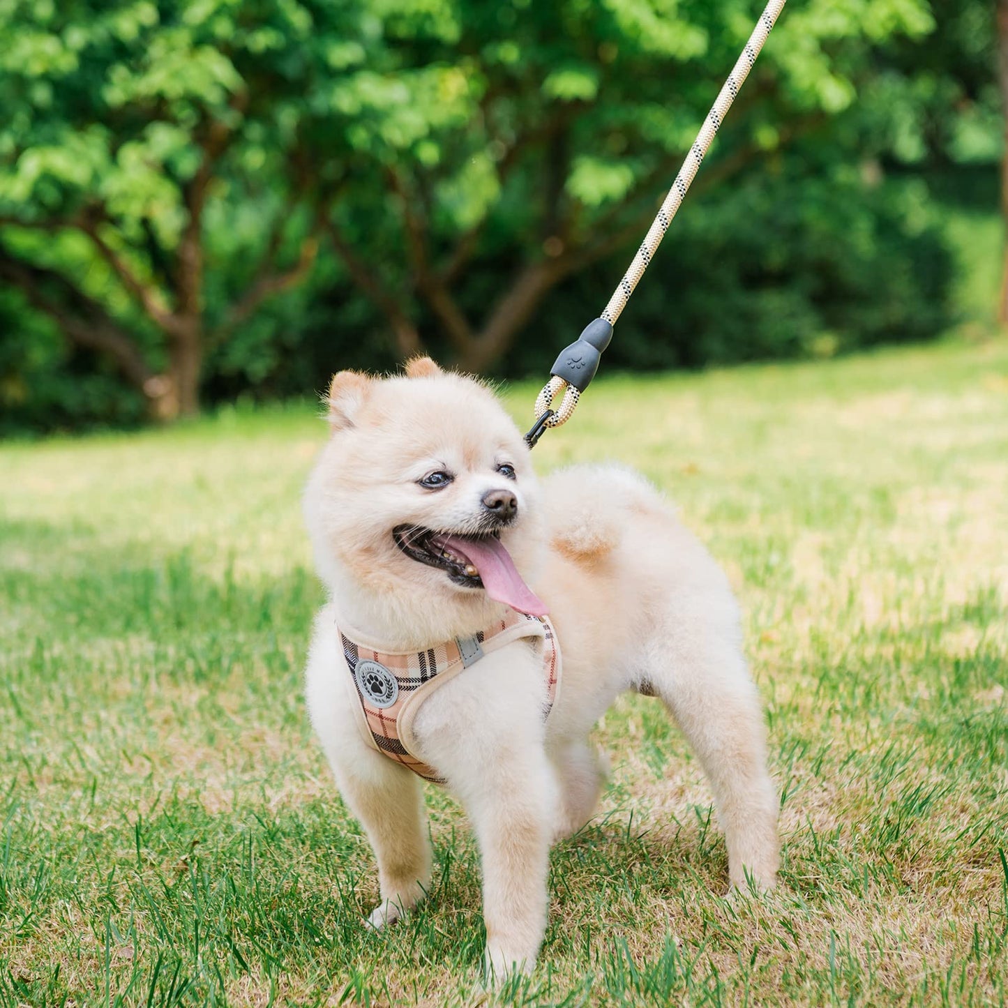 BEAUTYZOO Small Dog Harness and Leash Set,Step in No Choke No Pull Soft Mesh Dog Harnesses Reflective for Extra-Small Medium Puppy Dogs and Cats, Plaid Dog Vest Harness for XS S Pets, Beige XS