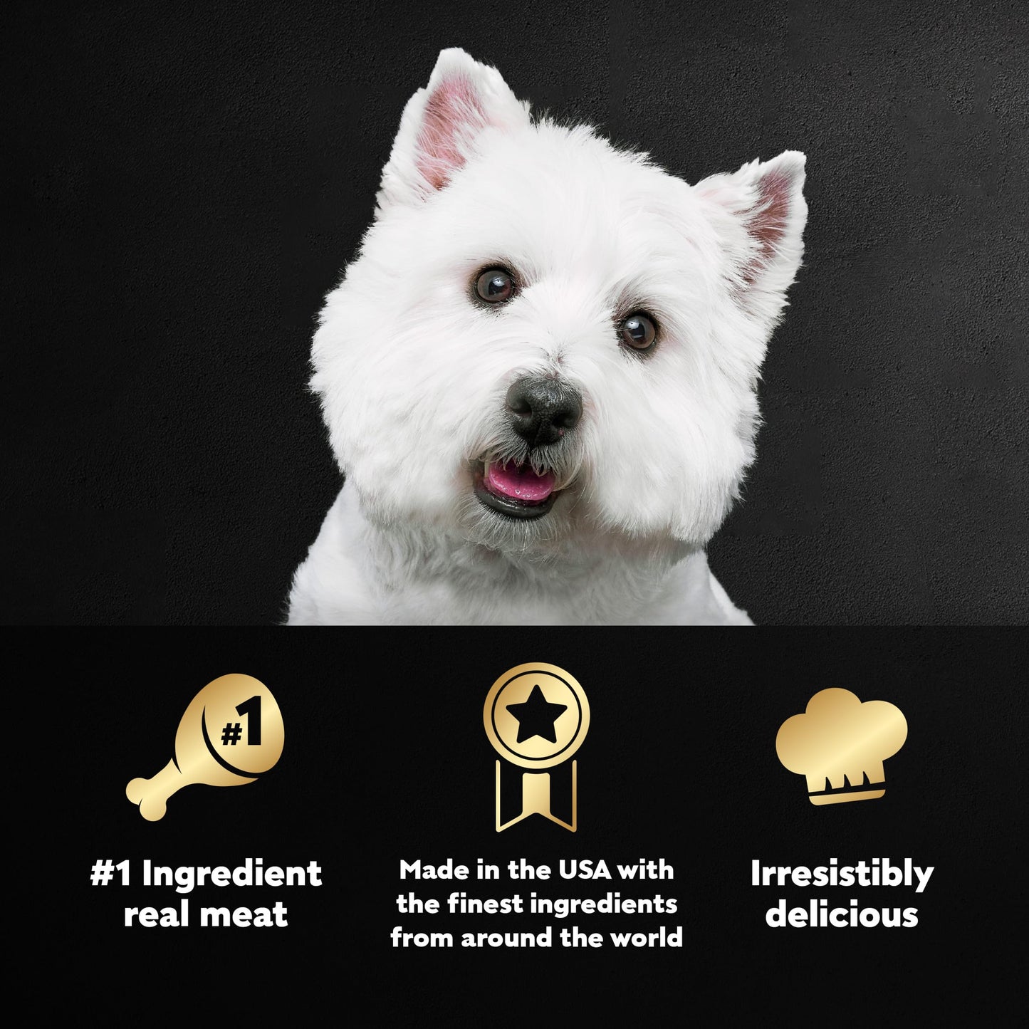 Cesar Wet Dog Food Classic Loaf in Sauce Filet Mignon and Porterhouse Steak Flavors Variety Pack, 3.5 oz. Easy Peel Trays (12 Count, Pack of 2)