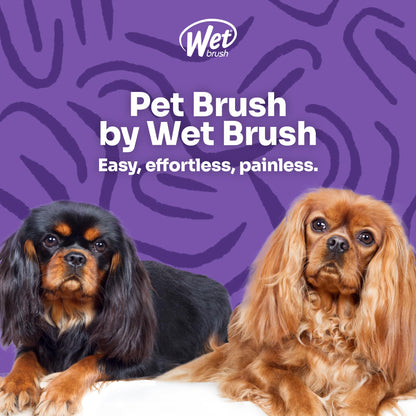 Wet Brush Ultimate Dual-Sided Detangling Brush - Ultra Soft IntelliFlex Bristles, Removes Loose Hair & Dirt for Dogs, Cats, Rabbits - Teal