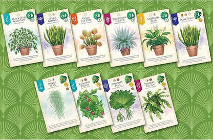AEG &amp Flatout Games | Verdant - A Board Game for the Houseplant Collector | From the Creators of Cascadia | Easy to Learn | Quick to Play | Ages 10+ | 1-5 Players