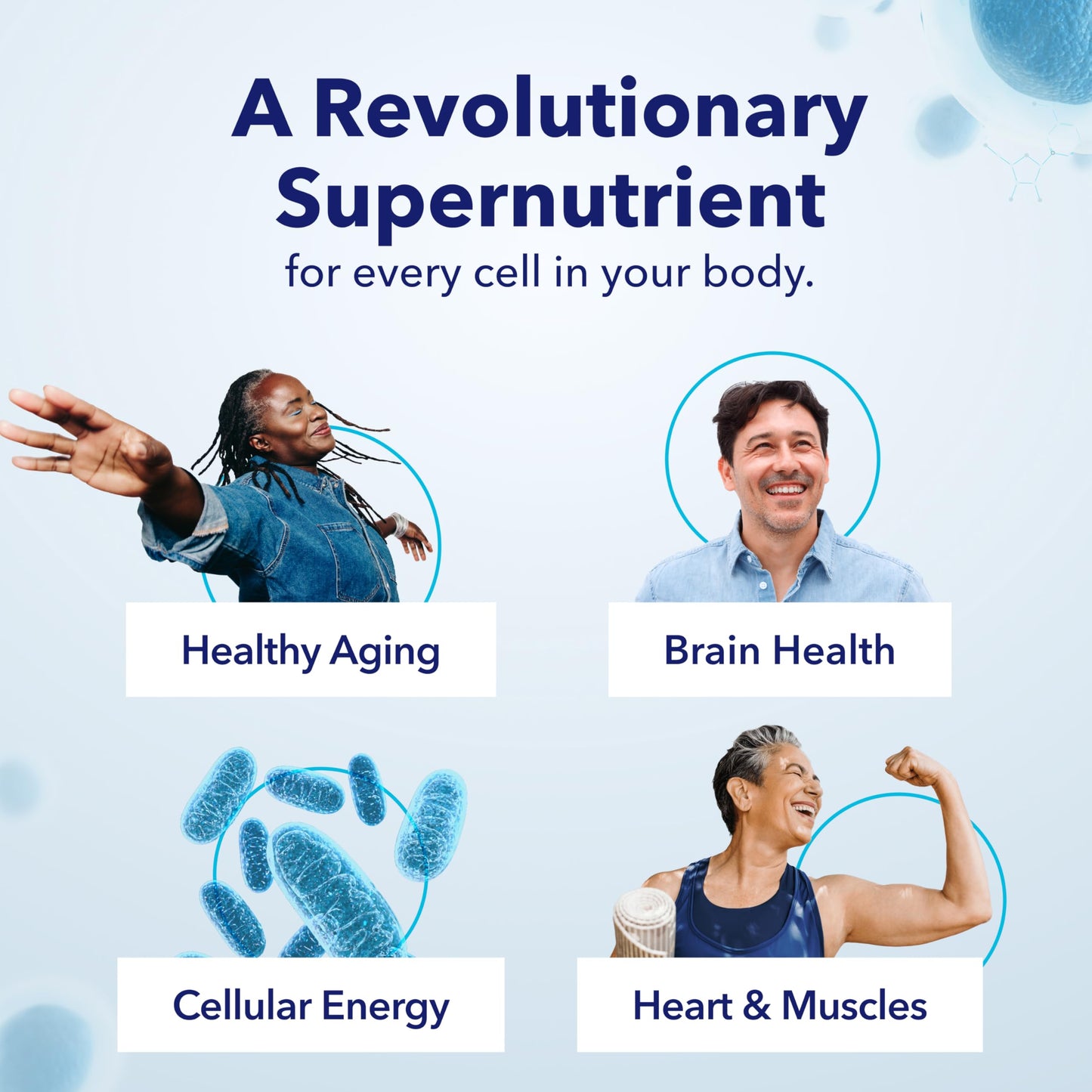 TRU NIAGEN Patented NAD+ Supplement for Anti Aging and Cell Regeneration, 300 mg Niagen, 30 Servings | Supports Cellular Energy, Brain, Muscle | Nicotinamide Riboside (NR) Take 1 Daily | 1 Bottle