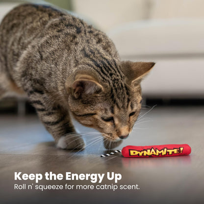 Catstages Green Magic Dynamite Stick Catnip Cat Toy