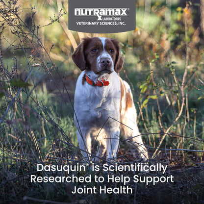 Nutramax Laboratories Dasuquin with MSM Soft Chews Small/Medium Dog 84 Count, brown