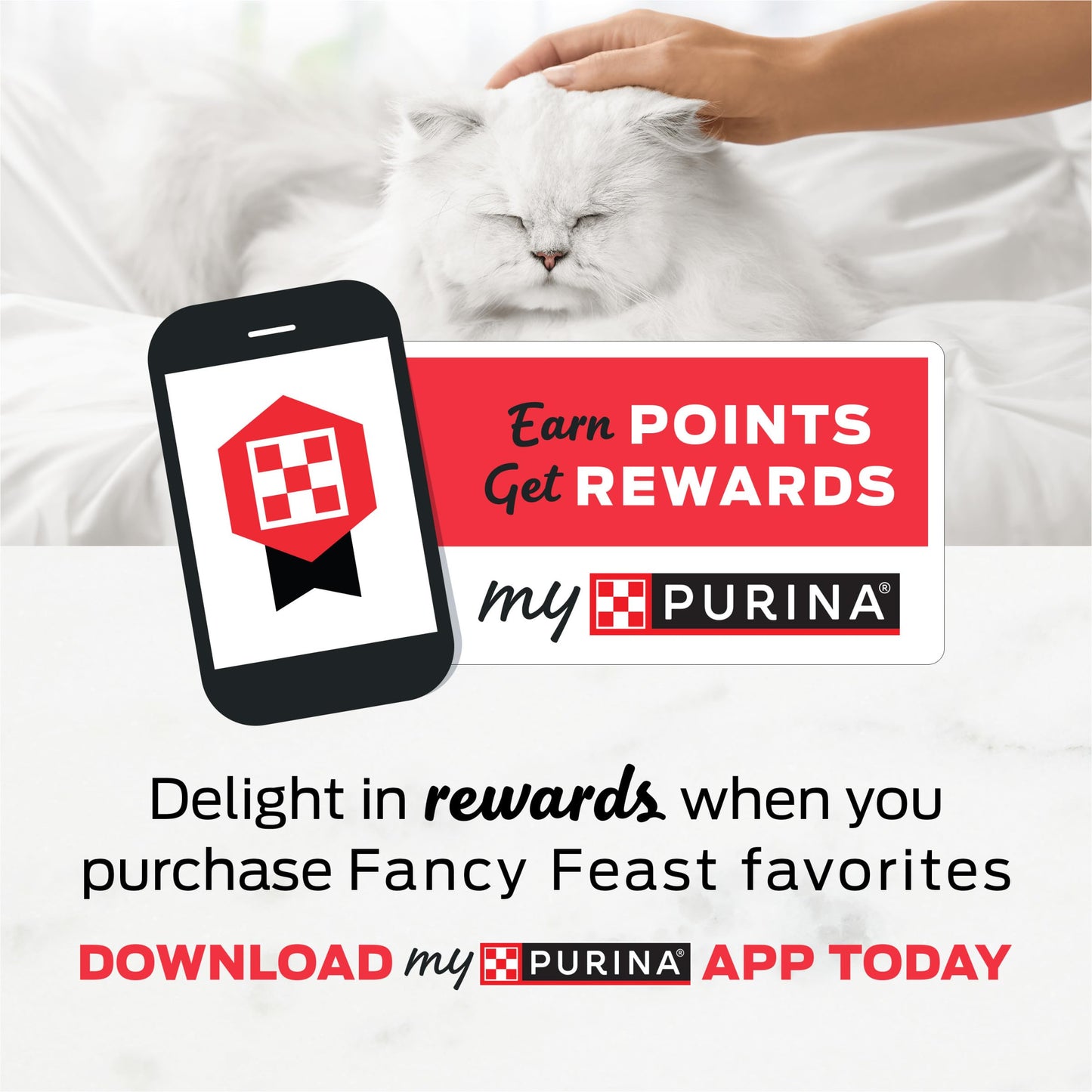 Purina Fancy Feast Gourmet Wet Cat Food Variety Pack, Petites Pate Collection, break-apart tubs, 24 servings - (Pack of 12) 2.8 oz. Tubs