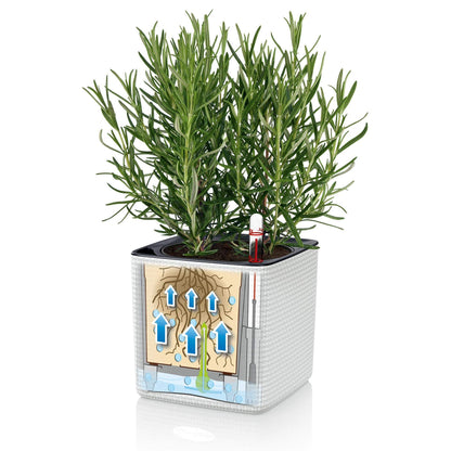 Lechuza Cube Color 16 Self Watering Plant Pot, White, 17 cm Diameterx 17 cm Width x 16 cm Height