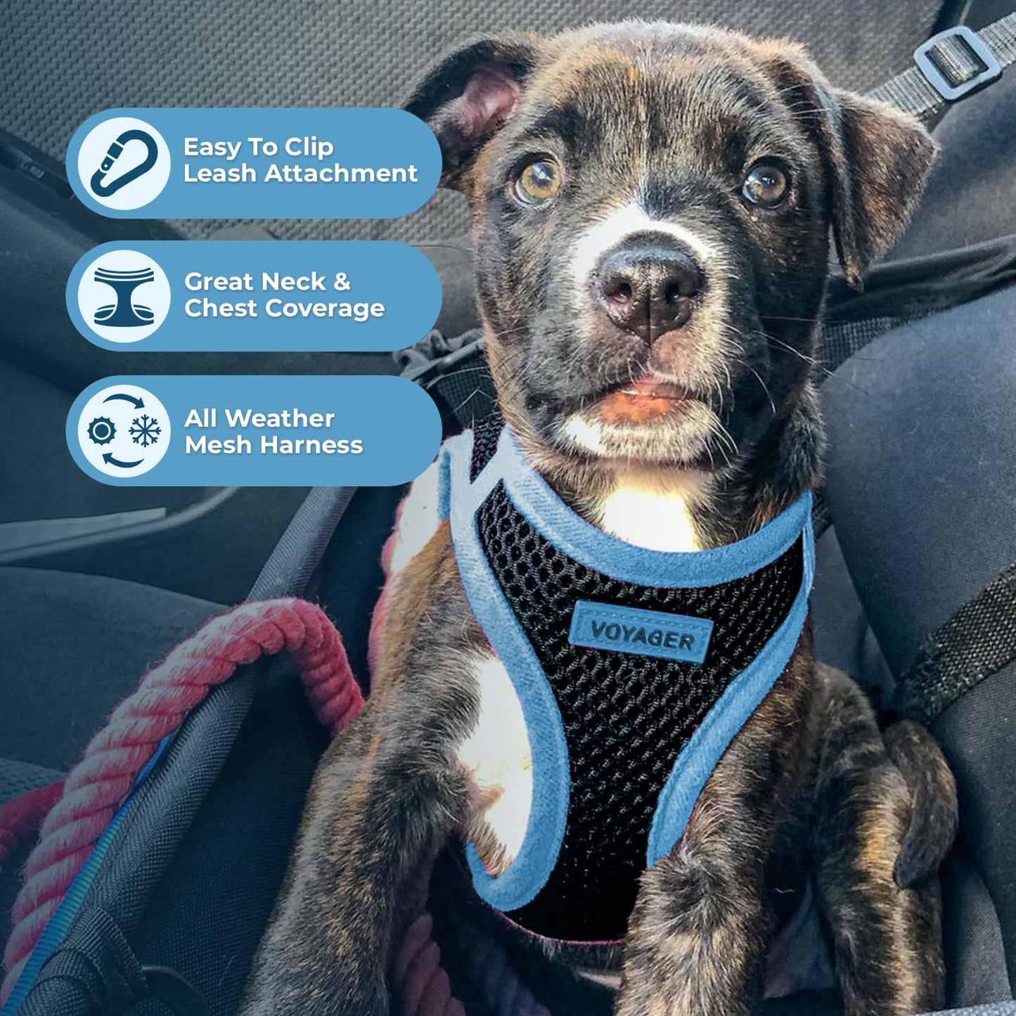 Best Pet Supplies - All Weather Mesh, Reflective, No Pull Harness for Small, Medium Dogs, Cats - Secure with Hook & Loop Fastener, Buckle, Double D-Rings - Black/Blue Trim, M