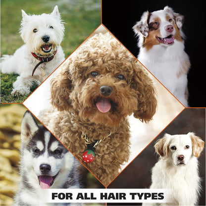 Wahl USA Dry Skin & Itch Relief Pet Shampoo for Dogs – Oatmeal Formula with Coconut Lime Verbena Scent - 64 Oz - Model 821004-050