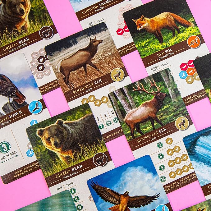 AEG &amp Flatout Games | Cascadia - Award-Winning Board Game Set in the Pacific Northwest | Easy to Learn | Quick to Play | Ages 10+