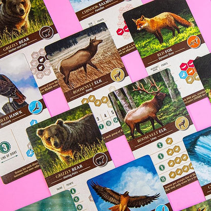 AEG &amp Flatout Games | Cascadia - Award-Winning Board Game Set in the Pacific Northwest | Easy to Learn | Quick to Play | Ages 10+
